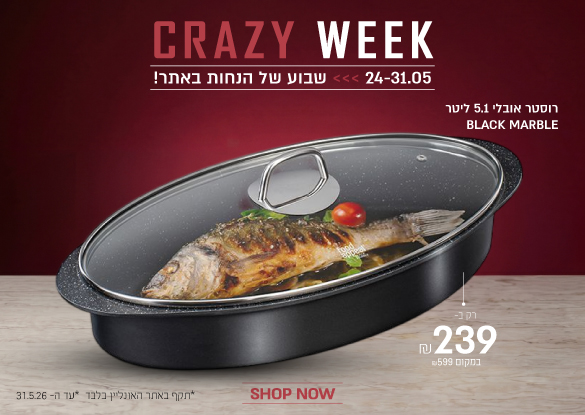 ����� ����� �239 ����� ���� 